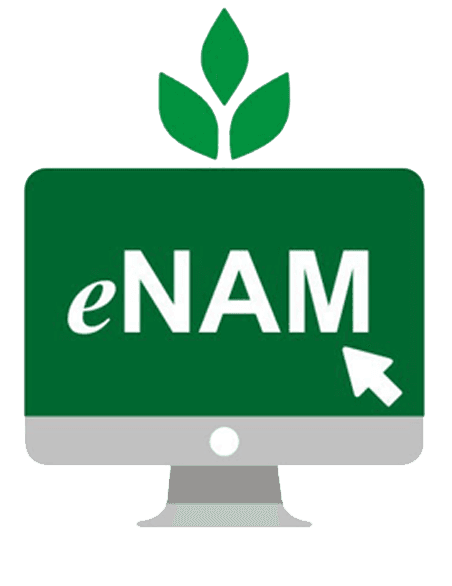 eNam